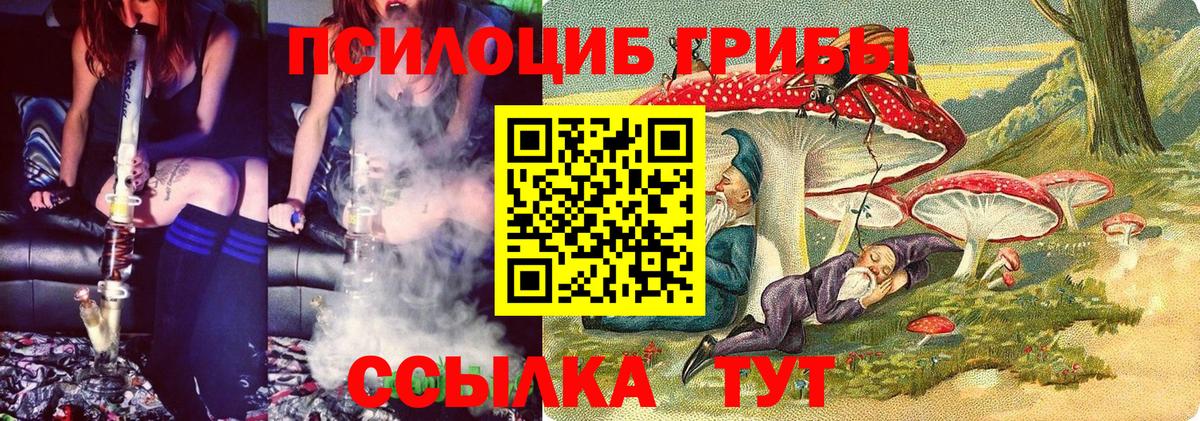 Энгельс  Галлюциногенные грибы прущие грибы  Вход с VPN 
