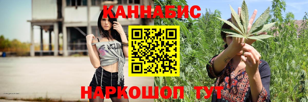 Марихуана конопля Энгельс